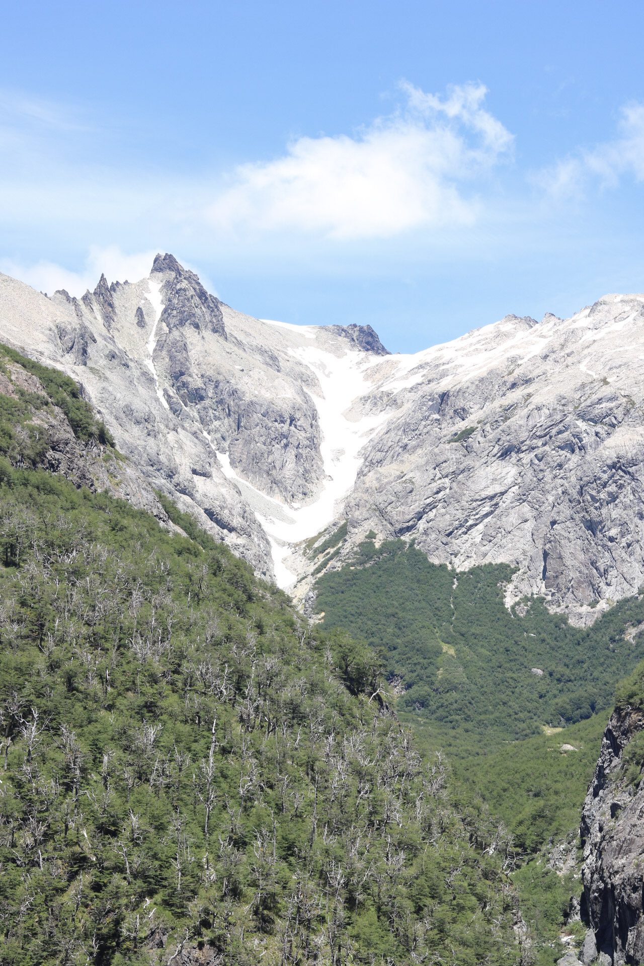 10 Trilhas Inesquecíveis pela Patagônia Argentina: geleira entre montanhas rochosas e floresta densa na Patagônia argentina - Vale Liberdade