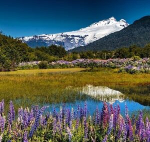 Qual a Melhor Época para Ir para Bariloche? Inverno, Verão ou Outras Estações?