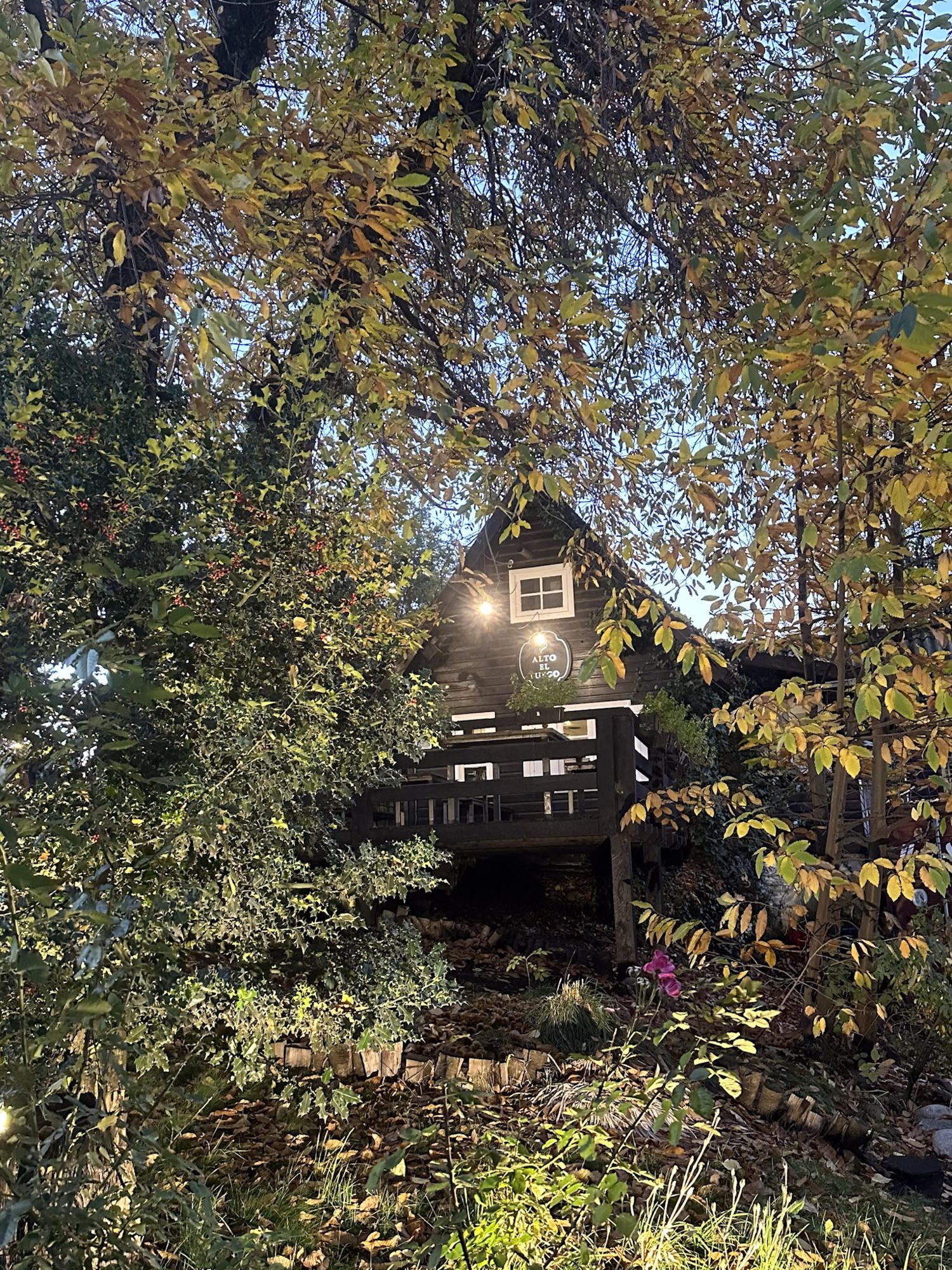 casa de madeira escura emoldurada por árvores com folhas amareladas no outono em Bariloche - Vale Liberdade