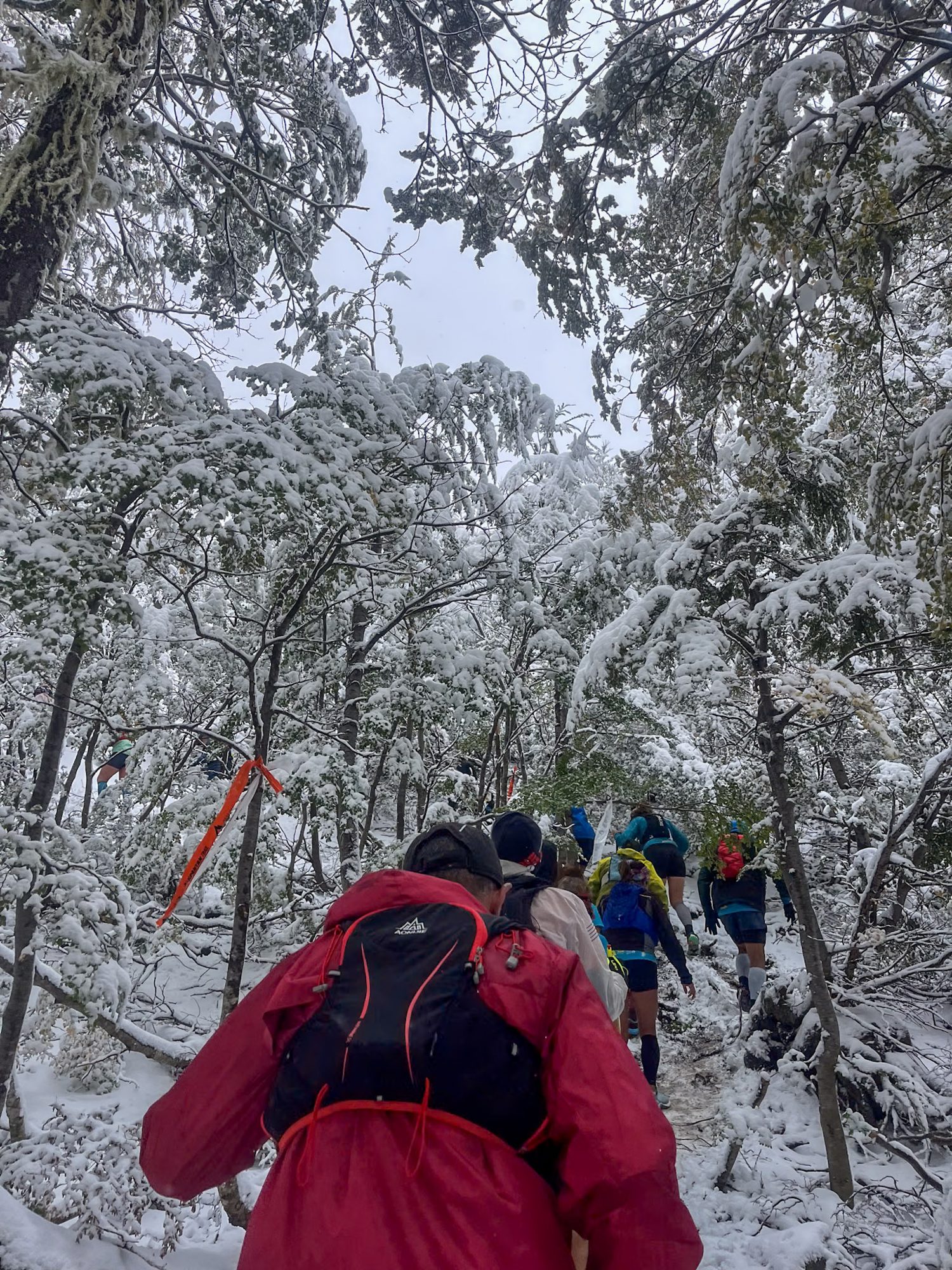 Como funcionam as cadenas de neve?: grupo de trilheiros caminhando por floresta coberta de neve em San Martín - Vale Liberdade