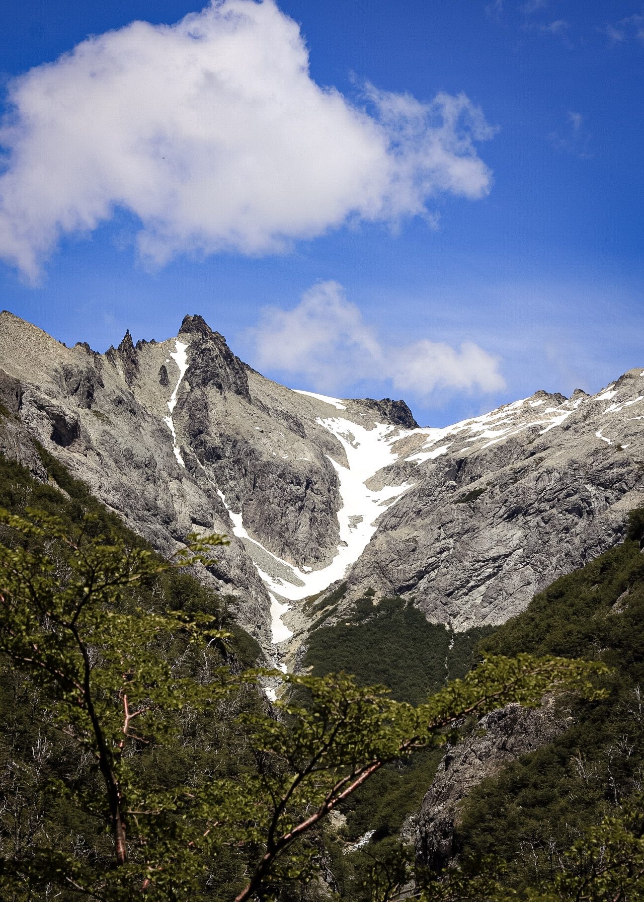 Viajar para Bariloche: montanhas rochosas com neve e floresta nat<a href=