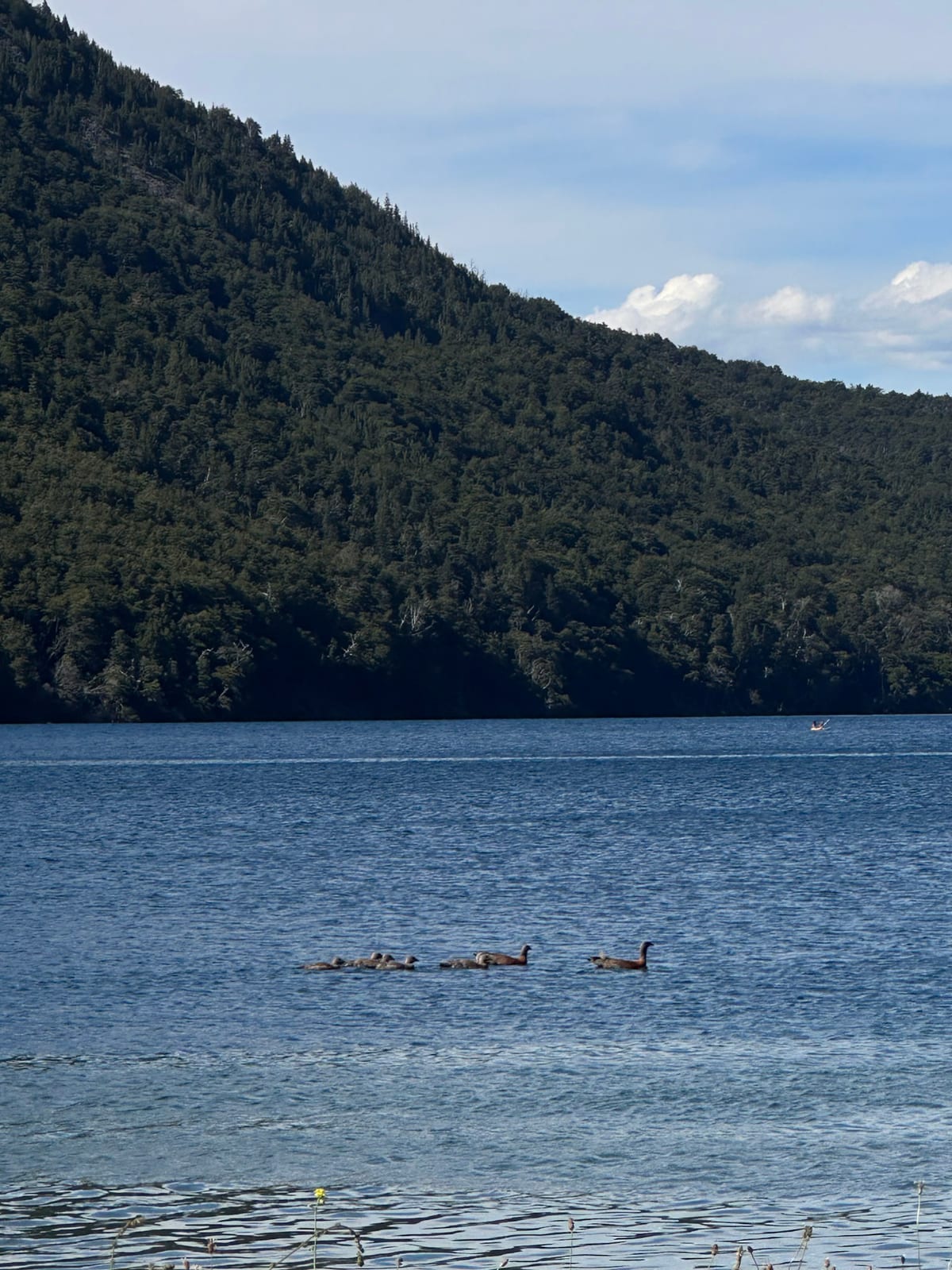 Águas calmas do lago Nahuel Huapi no verão patagônico