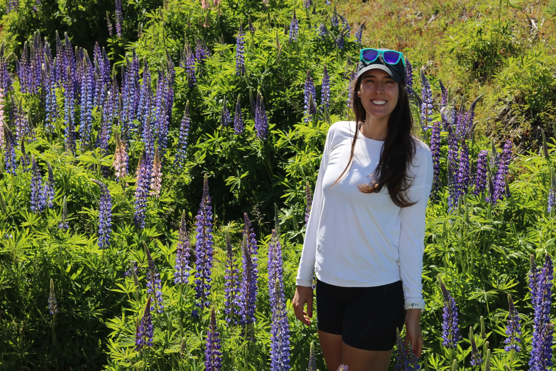 bariloche em janeiro: Mulher entre lupinos roxos floridos em Bariloche, na Patagônia argentina, no verão