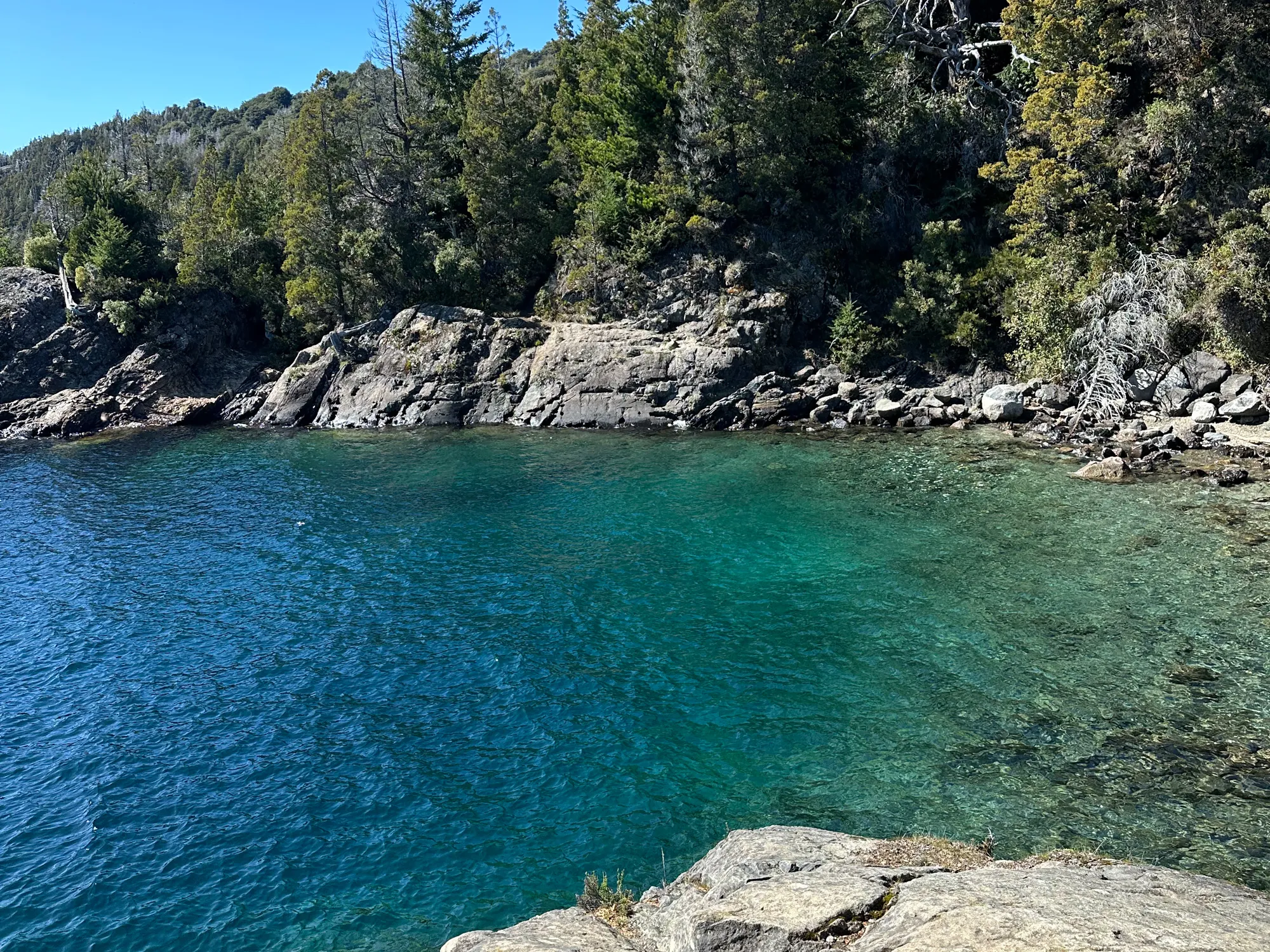 patagonia run: Enseada com água turquesa e transparente em lago da Patagônia argentina, próximo a Bariloche, cercada por rochas e floresta nativa
